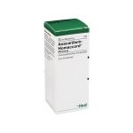 ANACARDIUM HOMACCORD Tropfen (PZN 42292) из Германии