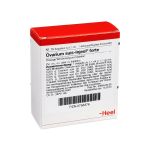 OVARIUM SUIS Injeel forte Ampullen (PZN 756376) из Германии