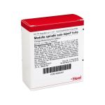 MEDULLA SPINALIS suis Injeel forte Ampullen (PZN 664361) из Германии