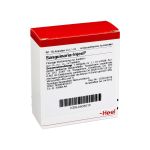 SANGUINARIA INJEEL Ampullen (PZN 903015) из Германии
