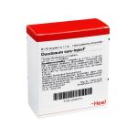 DUODENUM SUIS Injeel Ampullen (PZN 308703) из Германии