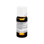 ARNICA PLANTA tota D 6 Dilution (PZN 1572081) из Германии
