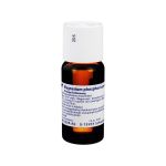 MAGNESIUM PHOSPHORICUM ACIDUM D 6 Dilution (PZN 1613414) из Германии