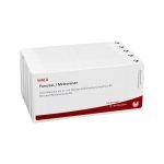 PANCREAS/METEOREISEN Ampullen (PZN 2086307) из Германии