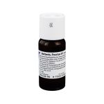 BERBERIS FRUCTUS D 3 Dilution (PZN 1613006) из Германии