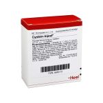 CYSTEIN Injeel Ampullen (PZN 1806113) из Германии