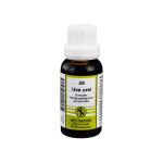 UVA URSI KOMPLEX Nr.26 Dilution (PZN 1069028) из Германии