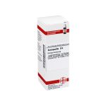 SARSAPARILLA D 6 Dilution (PZN 2105499) из Германии