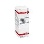 CAUSTICUM HAHNEMANNI D 4 Dilution (PZN 1764337) из Германии