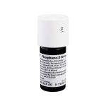 PHOSPHORUS D 30 Dilution (PZN 1613880) из Германии