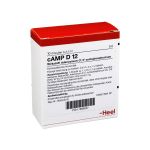 CAMP D 12 Ampullen (PZN 1698037) из Германии