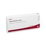 MAGNESIT/MAMMA comp.Ampullen (PZN 1751694) из Германии