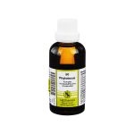 PHYTOLACCA KOMPLEX Nestmann 50 (PZN 1910520) из Германии