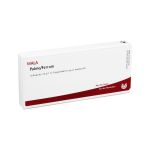 PULMO/FERRUM Ampullen (PZN 2086483) из Германии