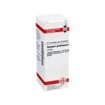 SYZYGIUM JAMBOLANUM Urtinktur D 1 (PZN 2120116) из Германии