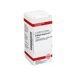SOLIDAGO VIRGAUREA D 2 Tabletten (PZN 2123267) из Германии