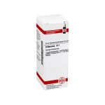 ECHINACEA HAB D 1 Dilution (PZN 2113932) из Германии