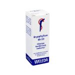 BRYOPHYLLUM RH D 3 Dilution (PZN 1629964) из Германии
