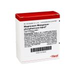 MAGNESIUM MANGANUM phosphoricum Injeel Ampullen (PZN 1474645) из Германии