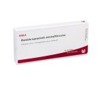 GLANDULA SUPRARENALIS sinistra/Mercurius Ampullen (PZN 1751530) из Германии