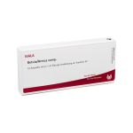 BETULA/ARNICA comp.Ampullen (PZN 1750996) из Германии