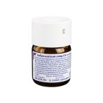 KALIUM ACETICUM COMP.D 6 Trituration (PZN 1616364) из Германии
