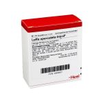 LUFFA OPERCULATA INJEEL Ampullen (PZN 1809927) из Германии