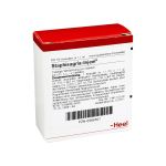 STAPHISAGRIA INJEEL Ampullen (PZN 966501) из Германии