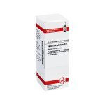 SABAL SERRULATUM D 2 Dilution (PZN 1784216) из Германии