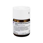 AURUM METALLICUM PRAEPARATUM D 10 Trituration (PZN 1615726) из Германии