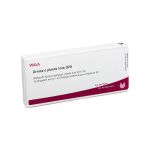 ARNICA E Planta tota D 20 Ampullen (PZN 2832644) из Германии