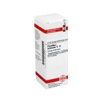 PASSIFLORA INCARNATA D 12 Dilution (PZN 2619620) из Германии
