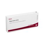 PULPA DENTIS GL D 6 Ampullen (PZN 3354684) из Германии