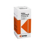 SYNERGON KOMPLEX 65 Kalium carbonicum N Tabletten (PZN 3633579) из Германии