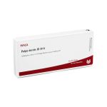 PULPA DENTIS GL D 15 Ampullen (PZN 2830786) из Германии