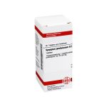 SYZYGIUM JAMBOLANUM D 2 Tabletten (PZN 2636564) из Германии