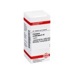 PETROLEUM RECTIFICATUM D 10 Tabletten (PZN 2928893) из Германии
