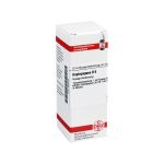 HAPLOPAPPUS D 6 Dilution (PZN 2924085) из Германии