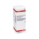 POPULUS TREMULA D 4 Dilution (PZN 2929622) из Германии
