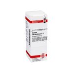 ACIDUM SARCOLACTICUM D 6 Dilution (PZN 2605457) из Германии