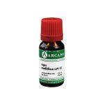 APIS MELLIFICA LM 6 Dilution (PZN 2600632) из Германии