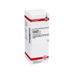 CHIMAPHILA UMBELLATA D 2 Dilution (PZN 2896526) из Германии