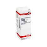 PLUMBUM METALLICUM D 6 Dilution (PZN 2929438) из Германии