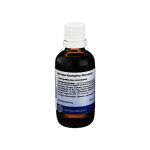 SPIRAEA KOMPLEX Hanosan (PZN 2194830) из Германии