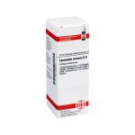 EQUISETUM ARVENSE D 6 Dilution (PZN 2898324) из Германии
