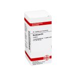 GUAIACUM D 6 Tabletten (PZN 2631006) из Германии