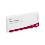 PULPA DENTIS GL D 12 Ampullen (PZN 3354715) из Германии