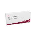 MEDULLA SPINALIS tota GL D 8 Ampullen (PZN 3356246) из Германии