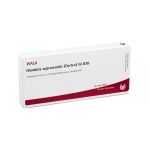 GLANDULA SUPRARENALES cortex GL D 30 Ampullen (PZN 3357211) из Германии