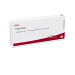 HEPAR GL D 4 Ampullen (PZN 2829524) из Германии